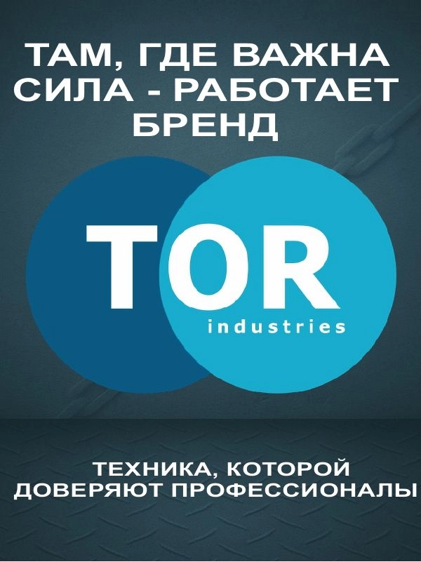 Скоба омегообразная TOR 2,0 т (тип G2130) (Q)