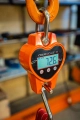 Весы электронные крановые TOR OCS-L 300кг