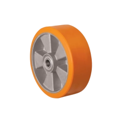 ABP 100