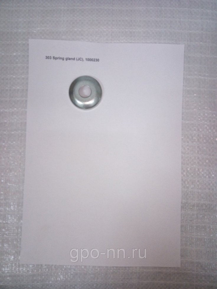 303 Колпачок возвратной пружины (Spring gland) (JC)