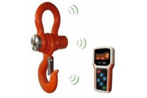 Весы крановые ВЭК-Д 3000